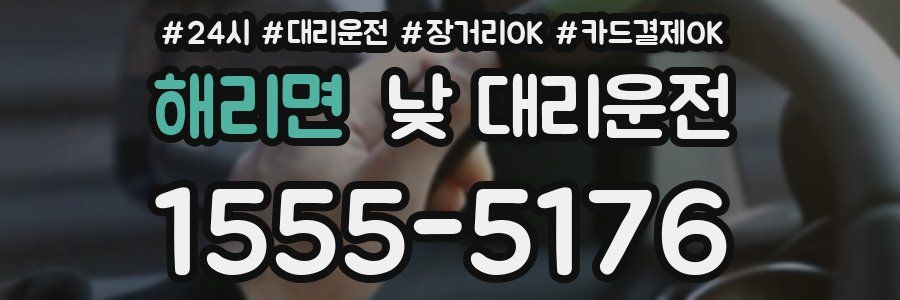 해리면 낮 대리운전