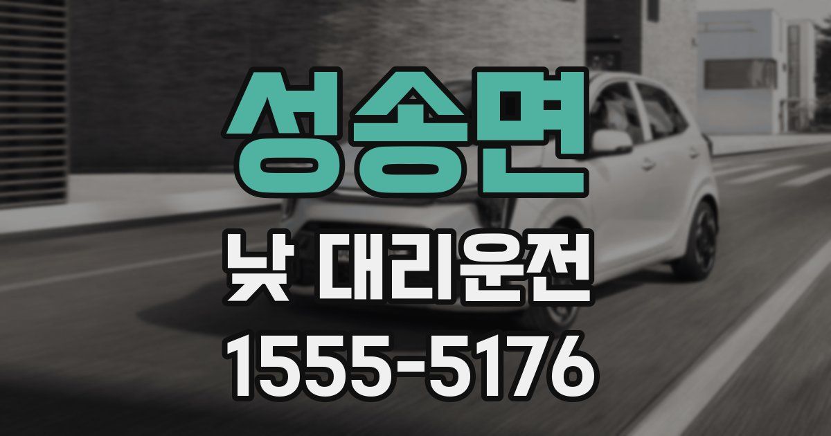 성송면 낮 대리운전