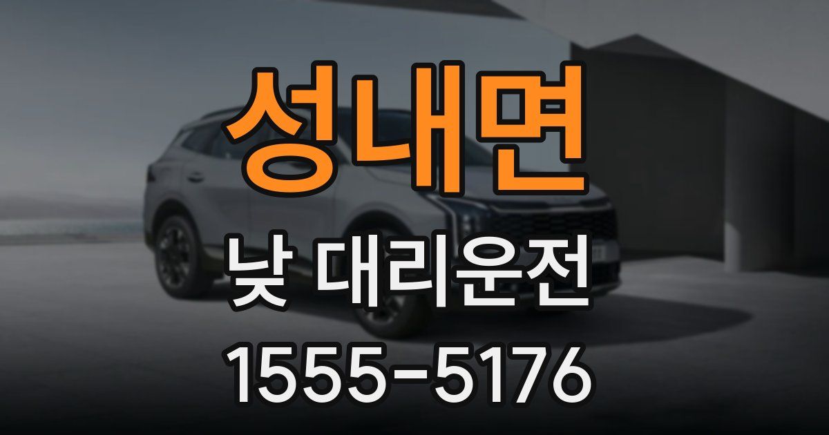 성내면 낮 대리운전