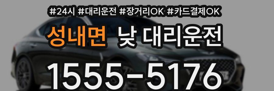 성내면 낮 대리운전