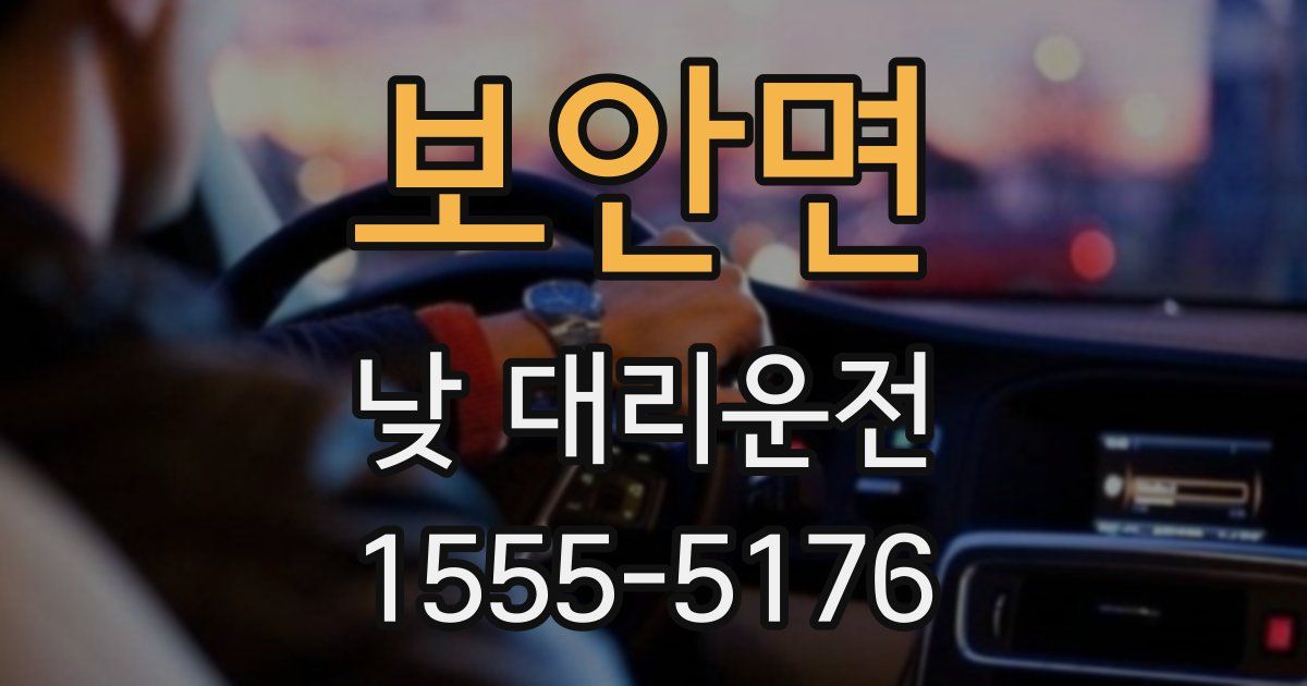 보안면 낮 대리운전