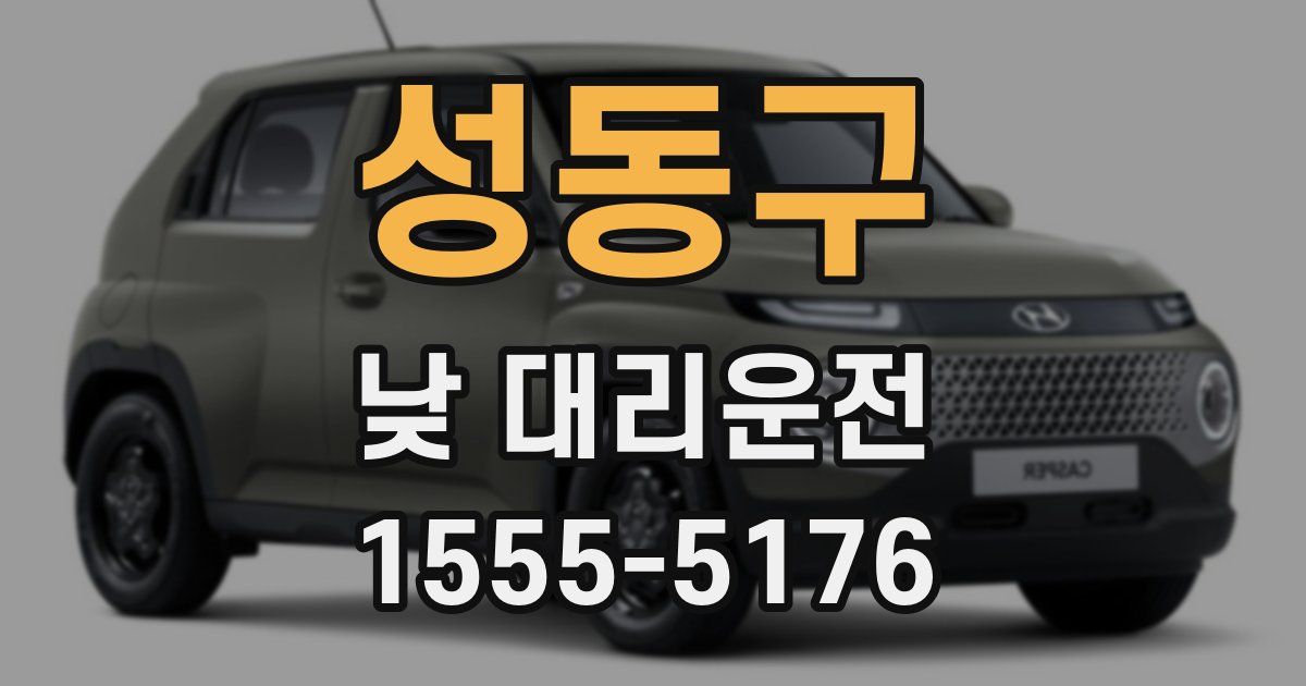 성동구 낮 대리운전