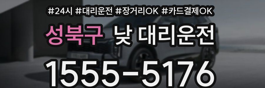 성북구 낮 대리운전