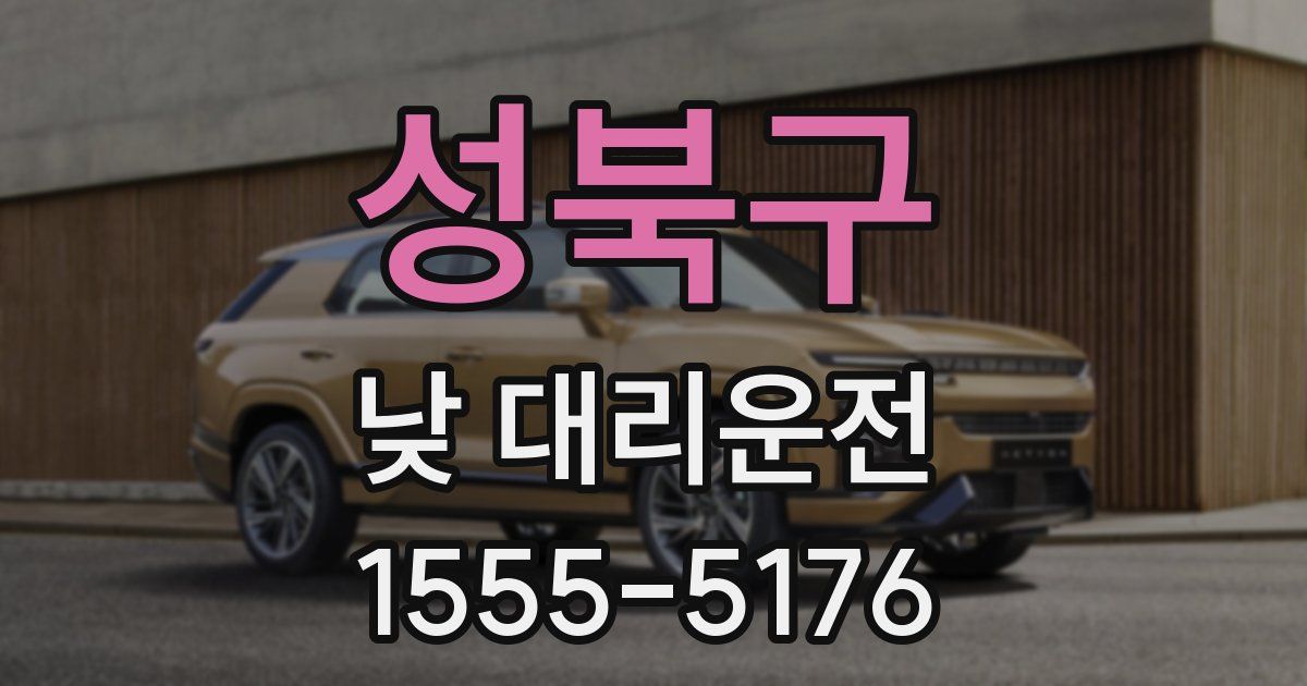 성북구 낮 대리운전