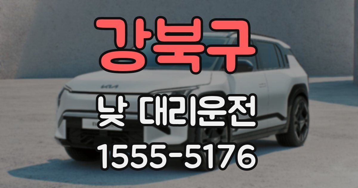 강북구 낮 대리운전