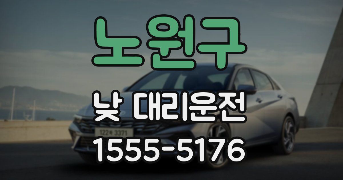 노원구 낮 대리운전