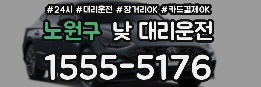 노원구 낮 대리운전