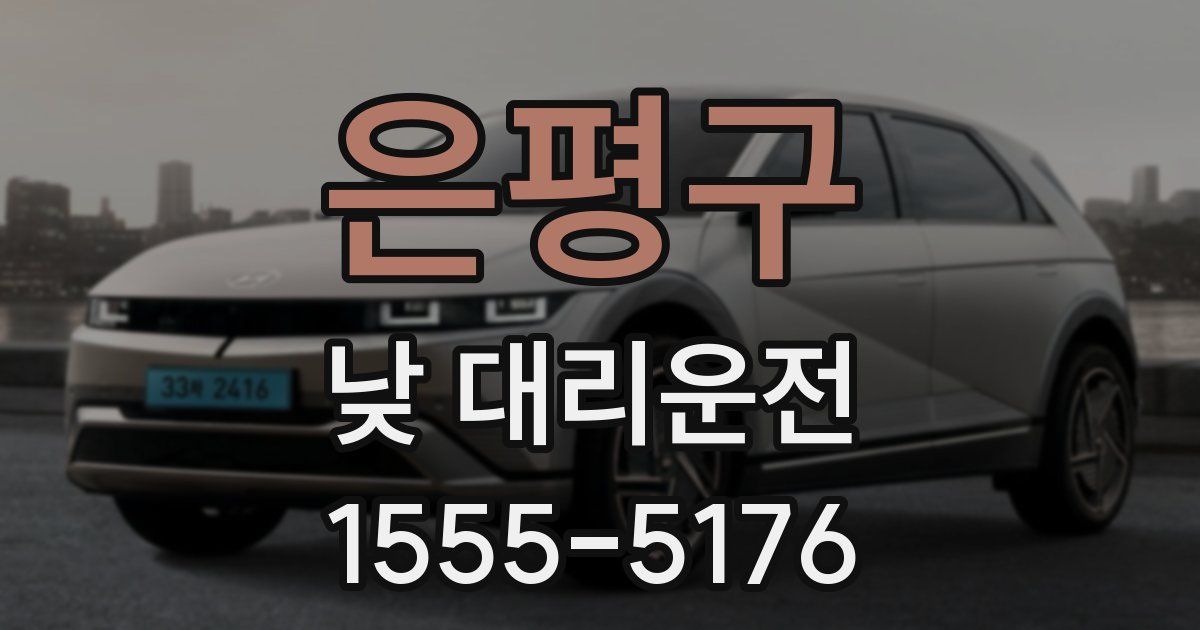 은평구 낮 대리운전