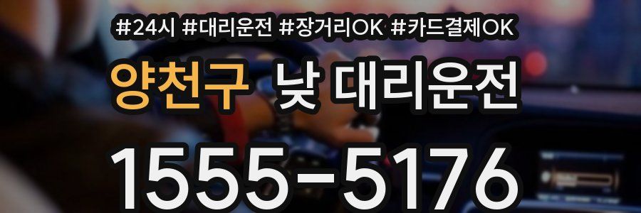 양천구 낮 대리운전