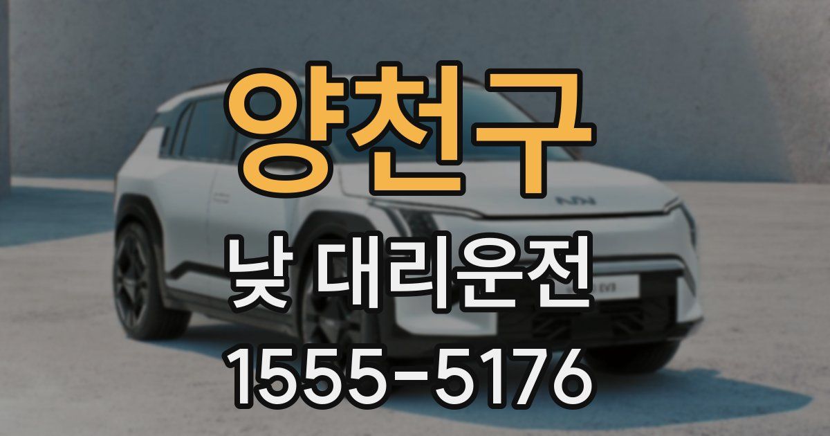 양천구 낮 대리운전
