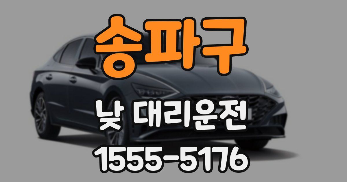 송파구 낮 대리운전