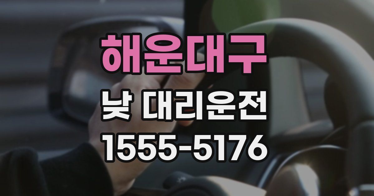 해운대구 낮 대리운전
