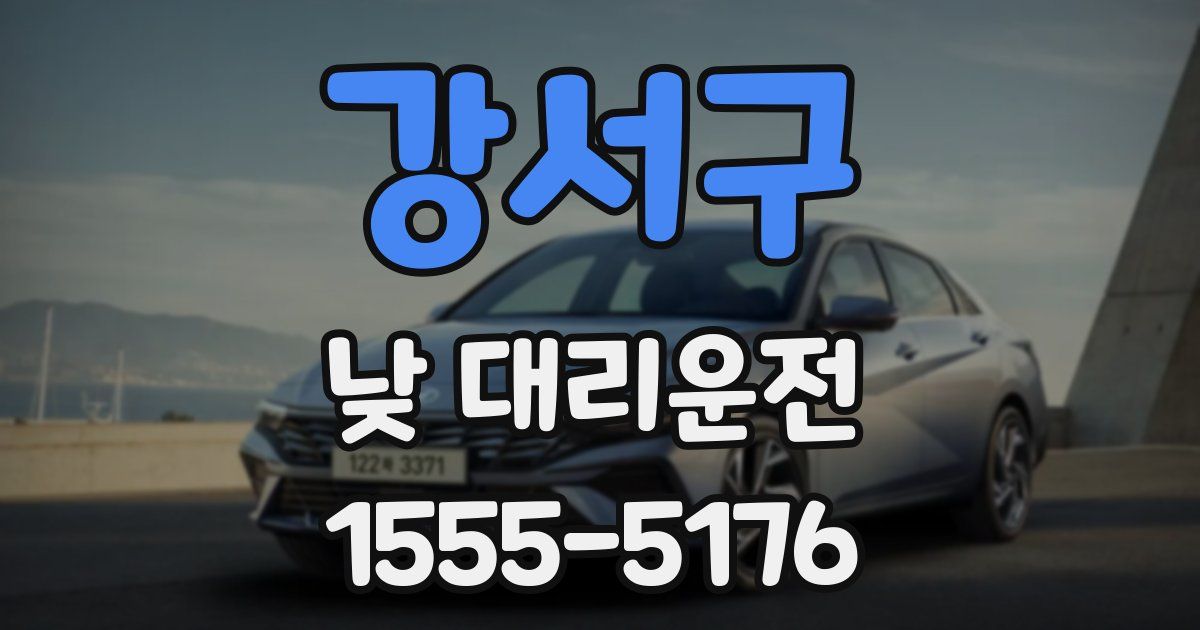 강서구 낮 대리운전