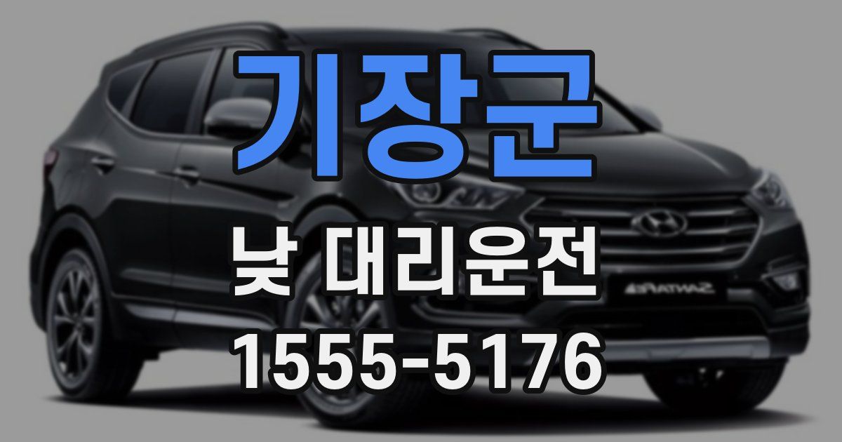 기장군 낮 대리운전