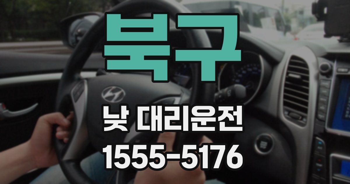 북구 낮 대리운전