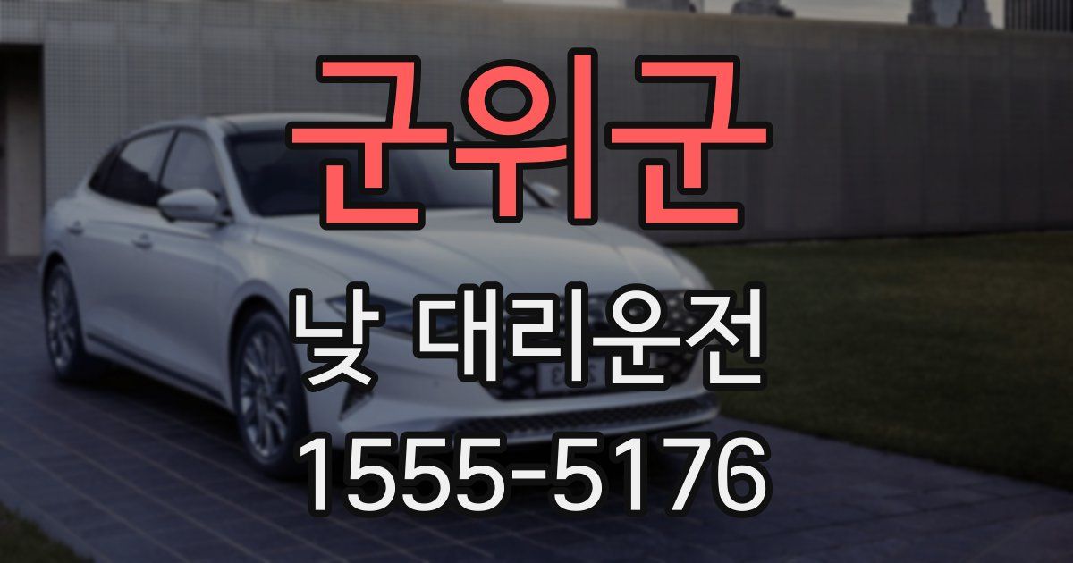 군위군 낮 대리운전