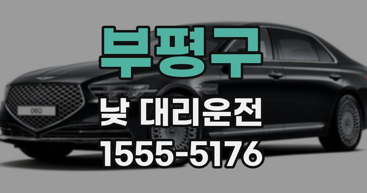 부평구 낮 대리운전