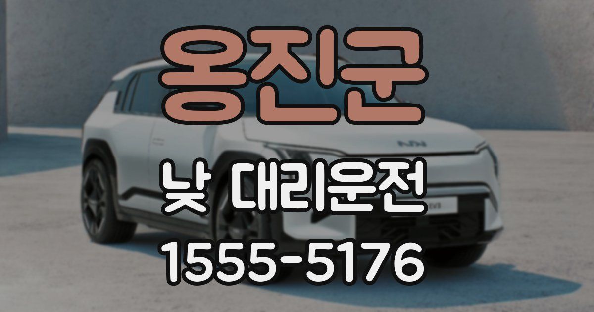 옹진군 낮 대리운전