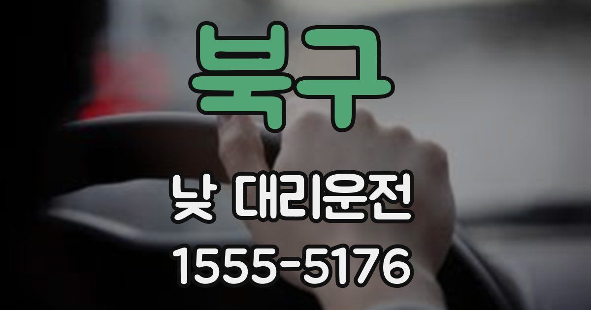 북구 낮 대리운전