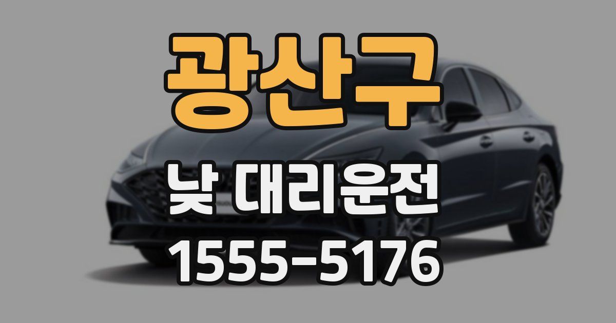 광산구 낮 대리운전