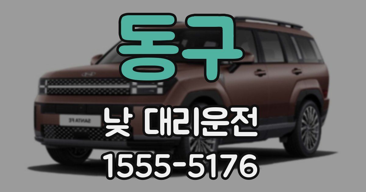 동구 낮 대리운전