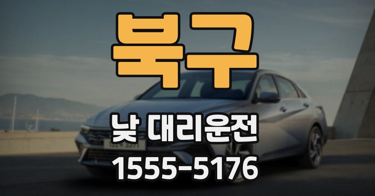 북구 낮 대리운전