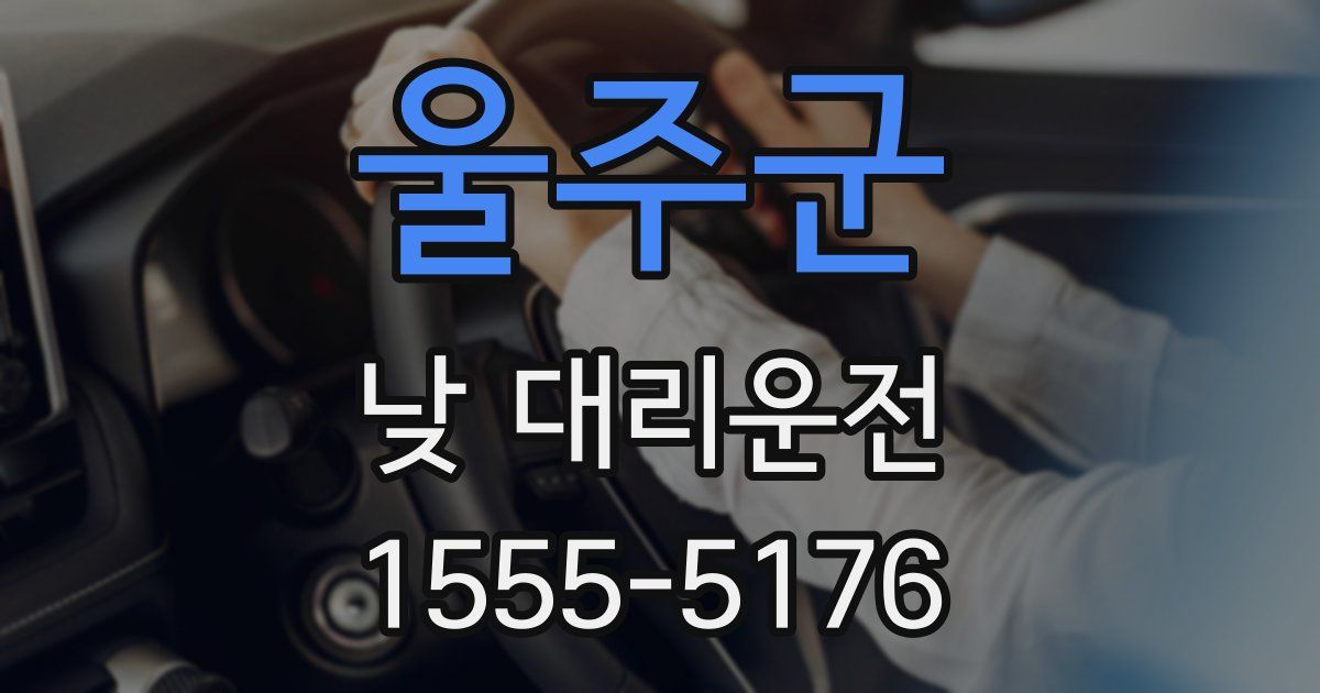 울주군 낮 대리운전