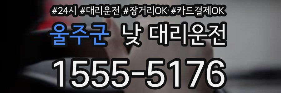 울주군 낮 대리운전