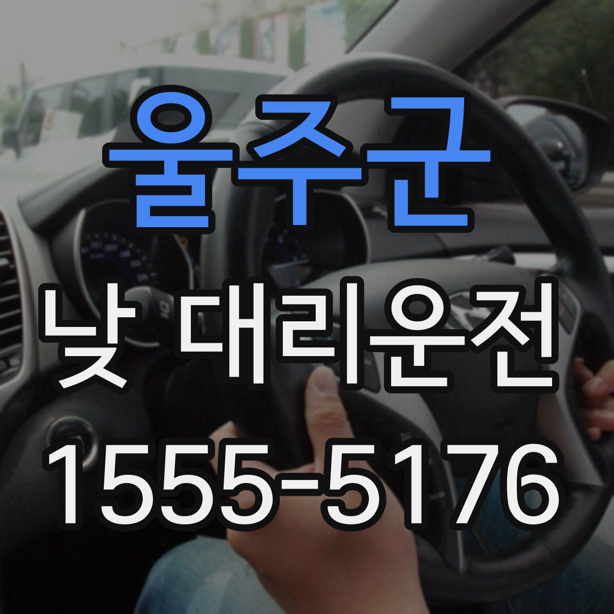울주군 낮 대리운전