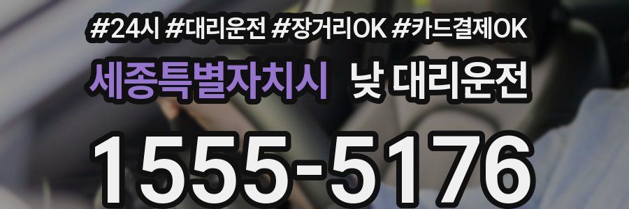 세종특별자치시 낮 대리운전