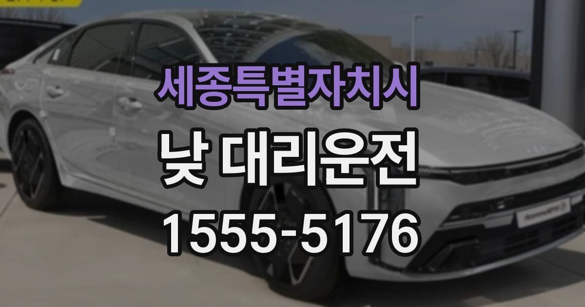 세종특별자치시 낮 대리운전