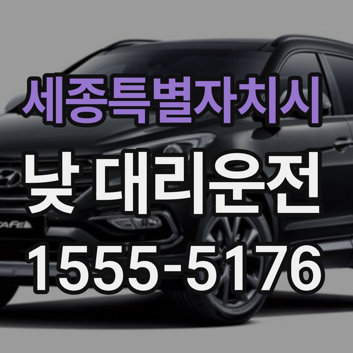 세종특별자치시 낮 대리운전