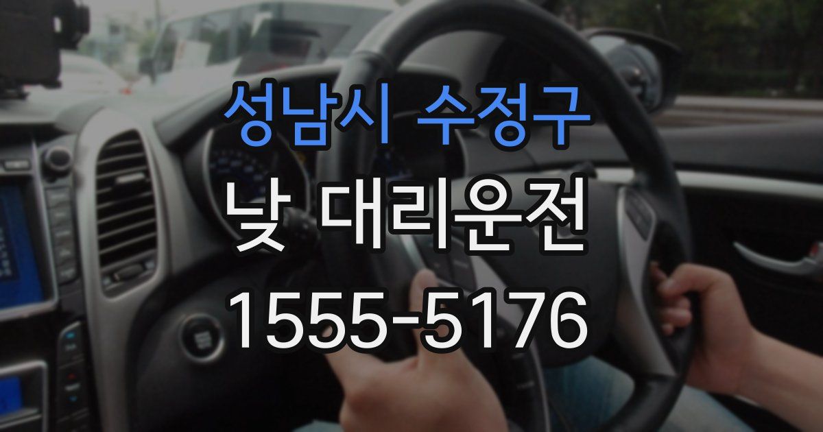 성남시 수정구 낮 대리운전