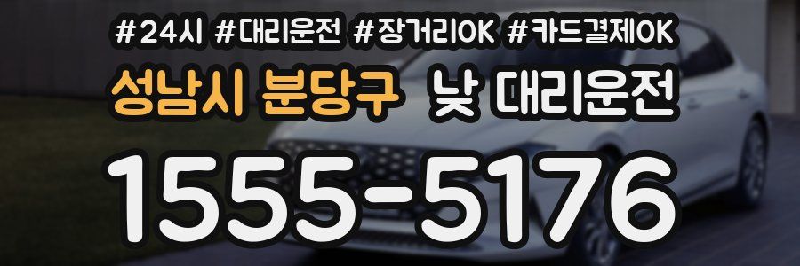 성남시 분당구 낮 대리운전
