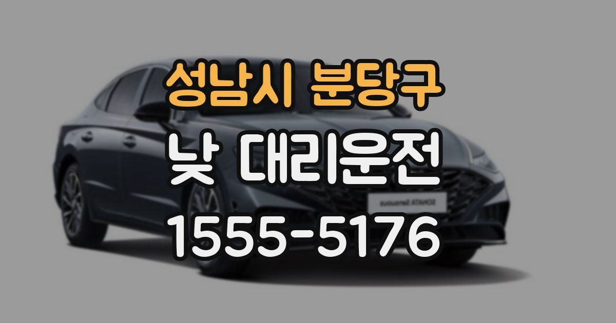 성남시 분당구 낮 대리운전