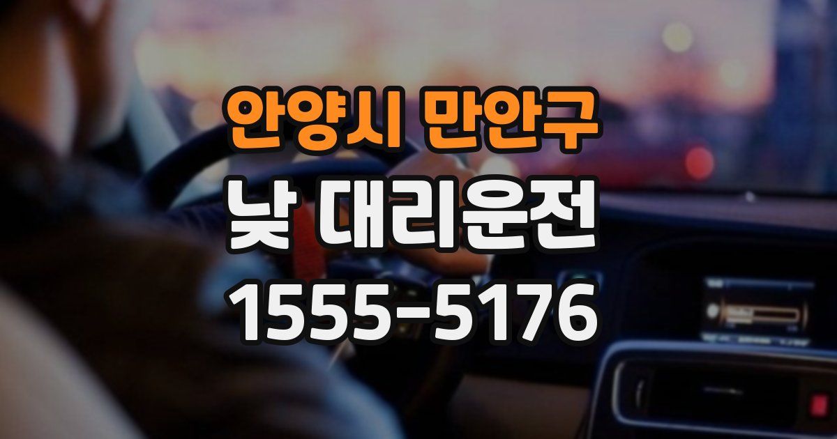 안양시 만안구 낮 대리운전