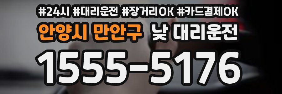 안양시 만안구 낮 대리운전
