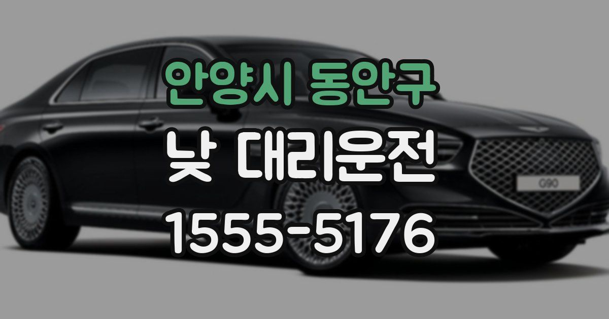 안양시 동안구 낮 대리운전
