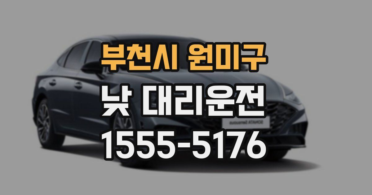 부천시 원미구 낮 대리운전
