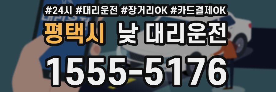 평택시 낮 대리운전
