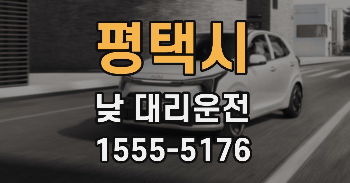 평택시 낮 대리운전