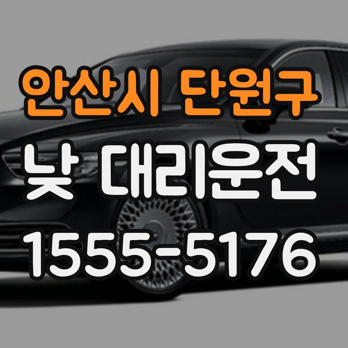 안산시 단원구 낮 대리운전