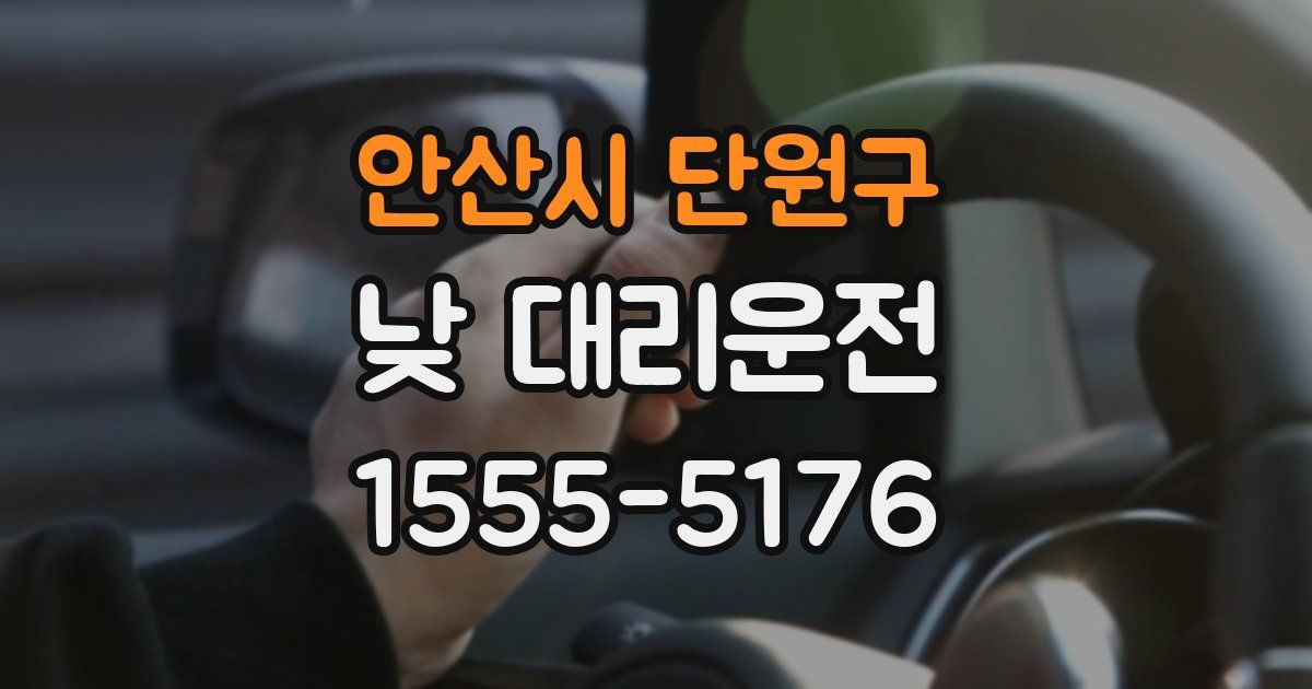 안산시 단원구 낮 대리운전