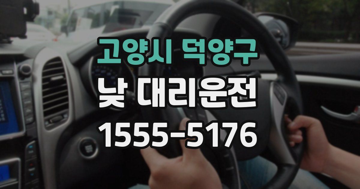 고양시 덕양구 낮 대리운전