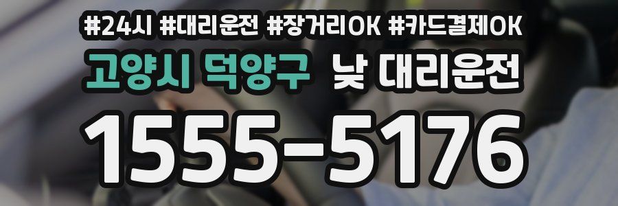 고양시 덕양구 낮 대리운전