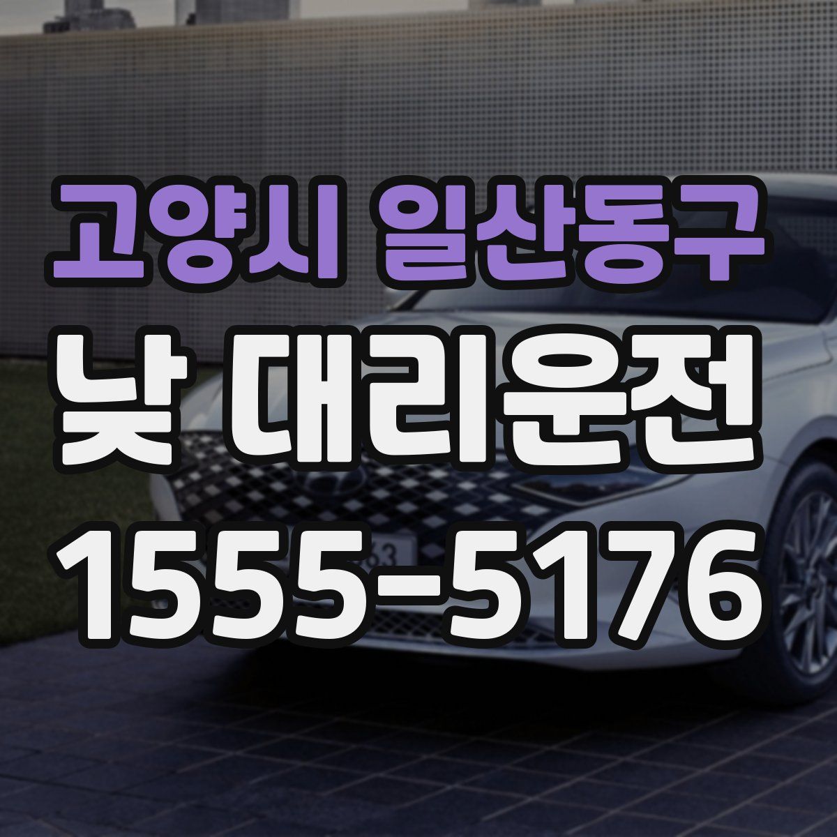 고양시 일산동구 낮 대리운전
