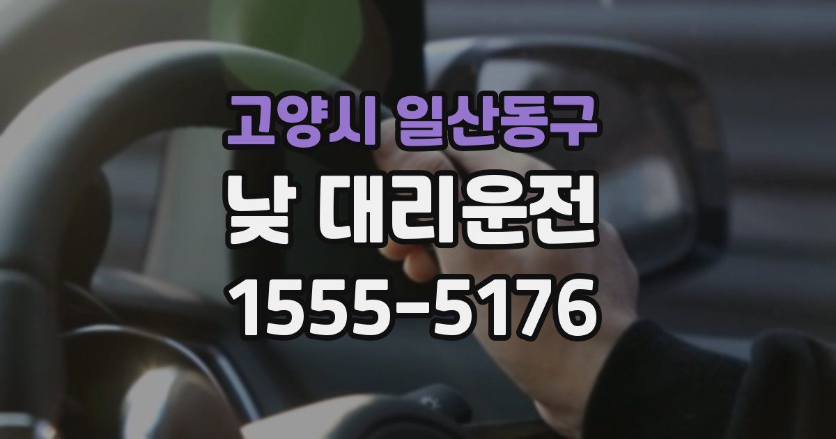 고양시 일산동구 낮 대리운전