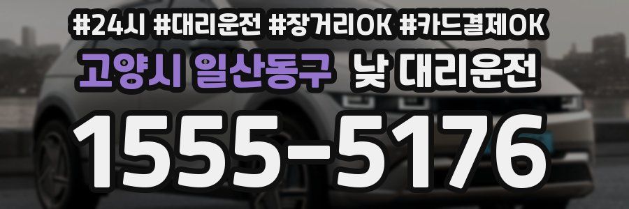 고양시 일산동구 낮 대리운전