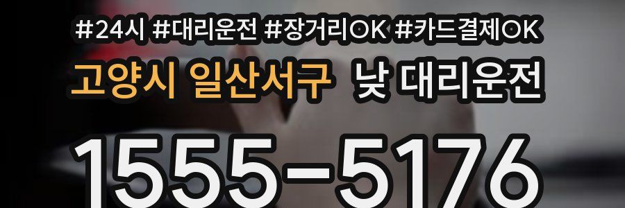고양시 일산서구 낮 대리운전