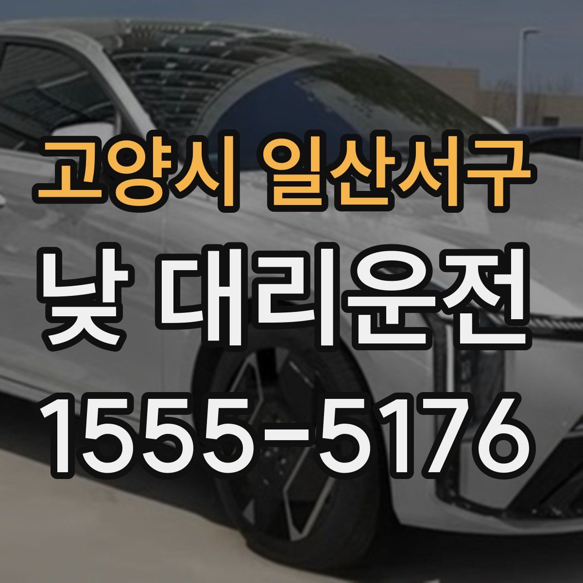 고양시 일산서구 낮 대리운전